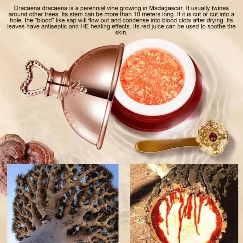 Dragon's Blood & Retinol Firming Face Cream